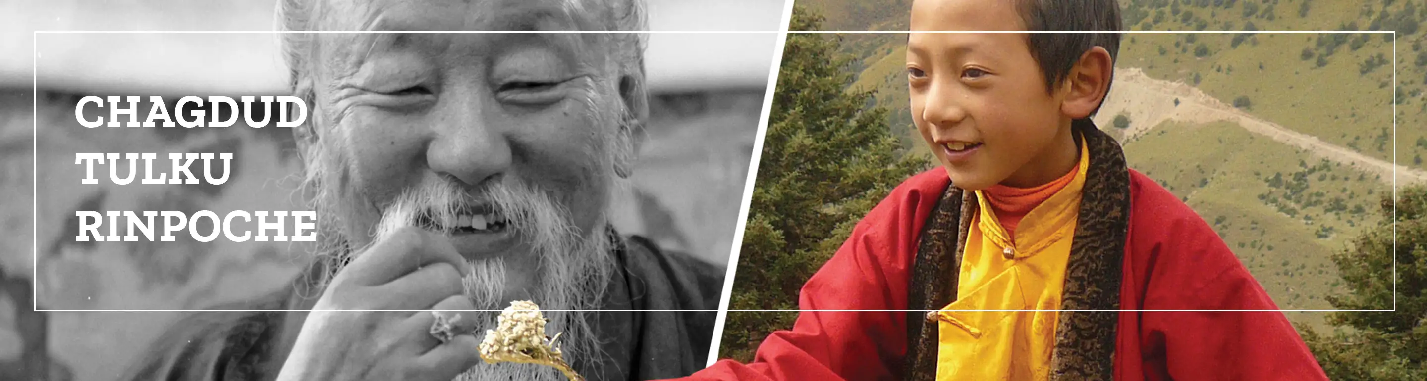 Chagdud Tulku Rinpoche